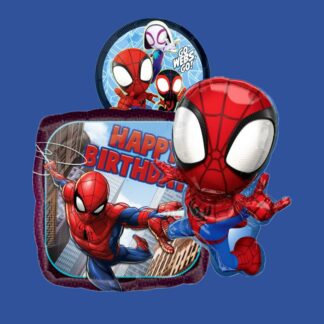 Spider Man & Spidey